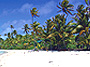 Long Bay Beach & Lunch