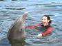 Dolphin Swim Adventure